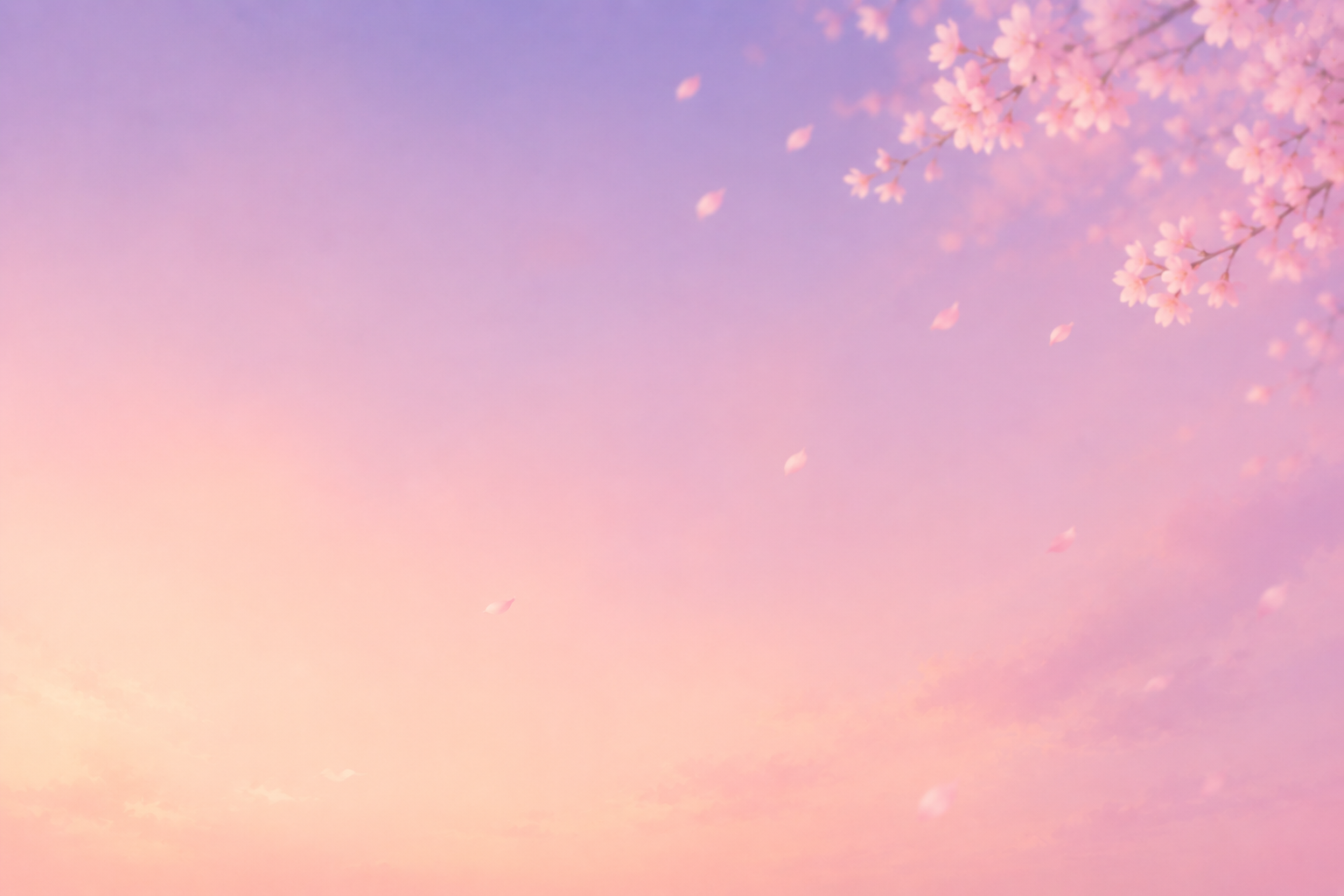Sakura Colored Gradient 05